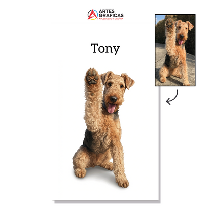 Personalizado Mascotas